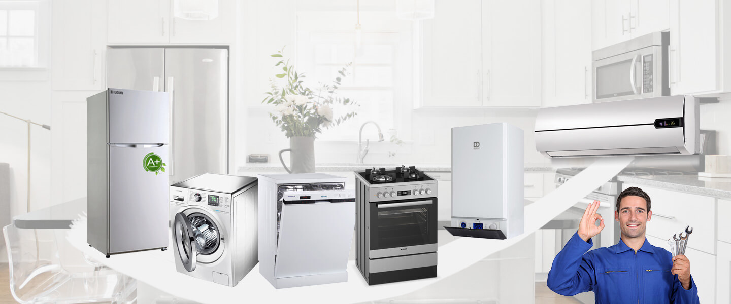 Yenipazar Windsor Servisi